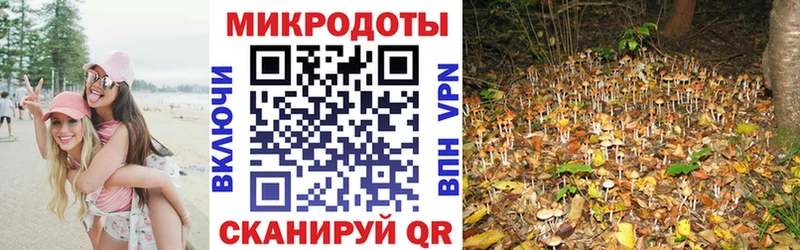 блэк спрут ссылка  Верхняя Тура  Псилоцибиновые грибы Magic Shrooms  наркота 